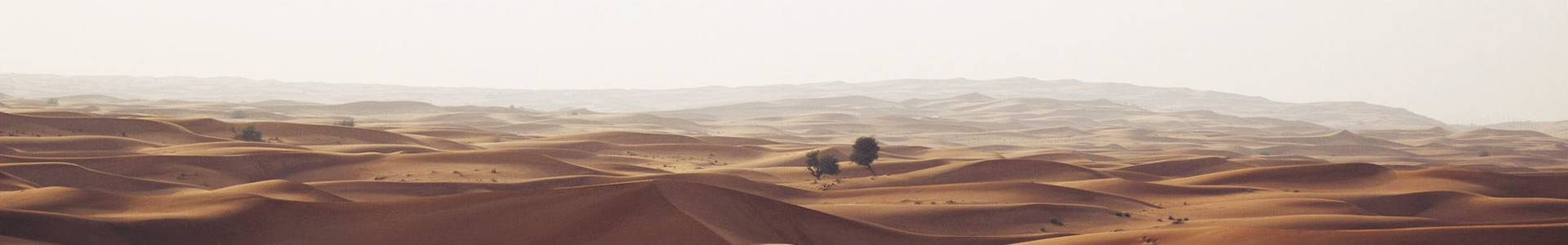ൺ˹ؿƼɷ޹˾